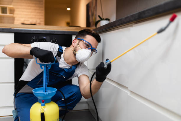 Best Cockroach Control Services  in Eidson Road, TX