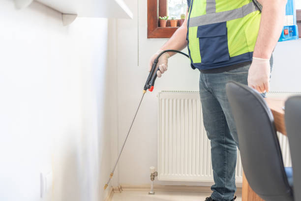Flea Control Services in Eidson Road, TX