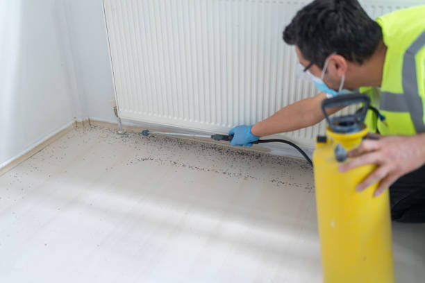 Best Pest Inspection Near Me  in Eidson Road, TX