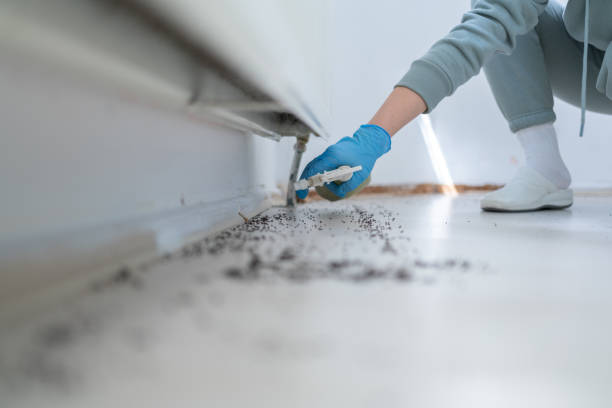 Wildlife Control Services in Eidson Road, TX